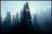 USA: Rocky Mountains, Smoke from Forest Fire