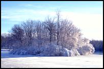 USA: Worcester, Institute Pond in Winter