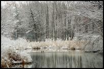 USA: MA, Worcester Institute Pond