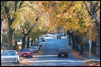 USA: MA Worcester, West Street in Fall
