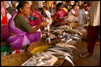 Fishmarket in Panjim, Goa, India