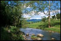 USA: Brook in Virginia