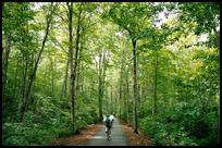 USA: NH, Franconia Notch Bicycle Path