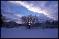 USA: MA, Worcester, Winter Morning