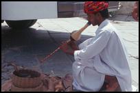 Jaipur, Snake Charmer